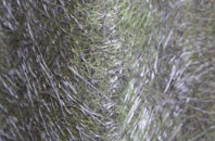 Blaenavon fibreglass roof work